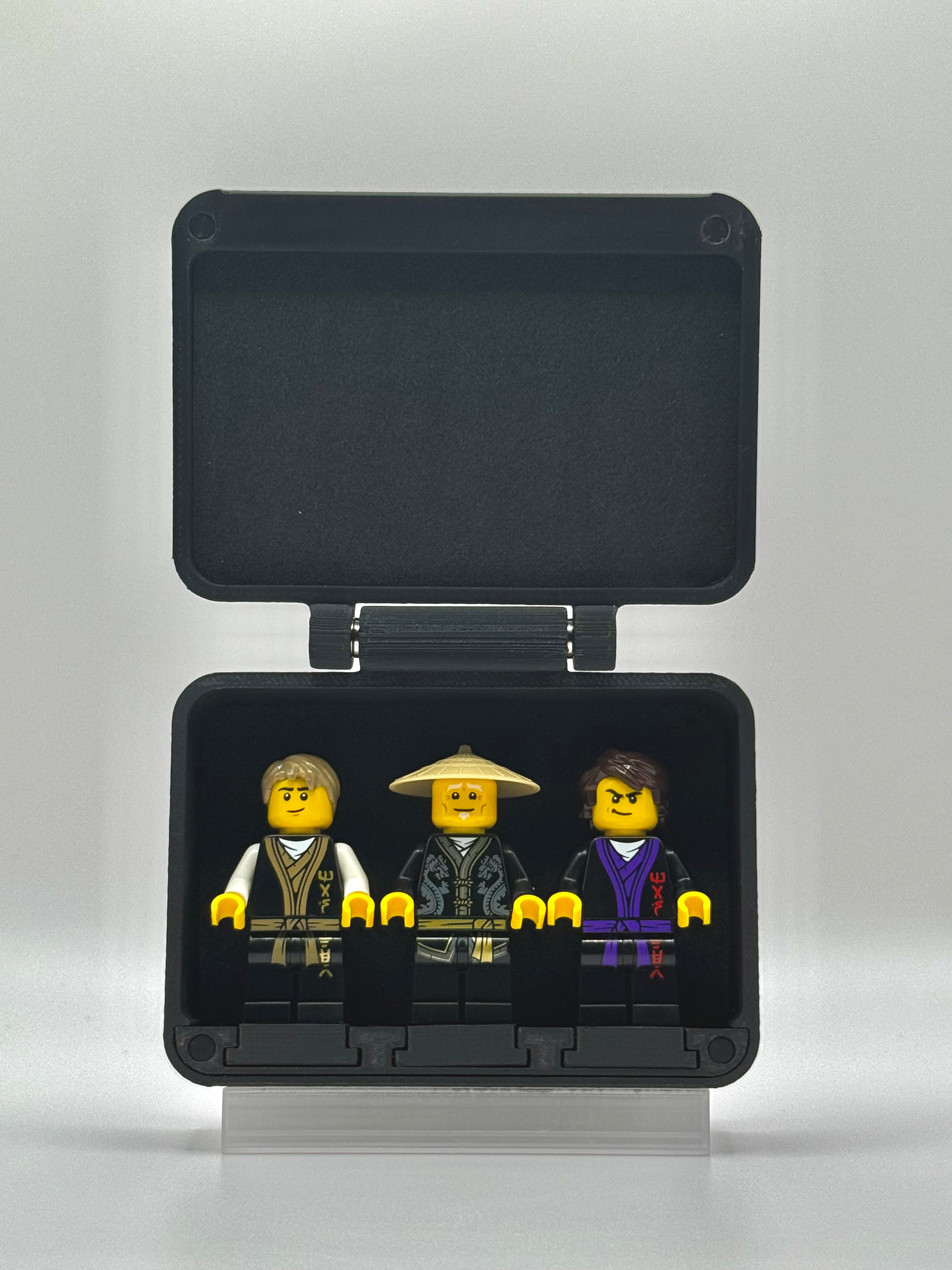 MiniVault Pro™ Switch Case