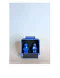 MiniVault Pro™ Sentinel Clear