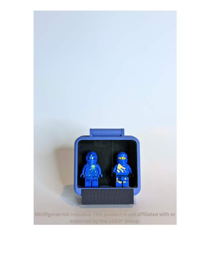 MiniVault Pro™ Sentinel Clear
